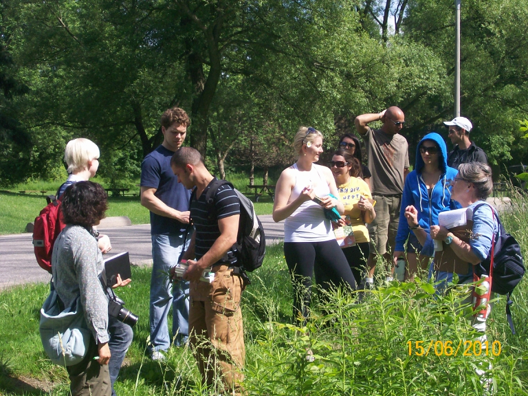 Susan Elliotson's Herb Walk