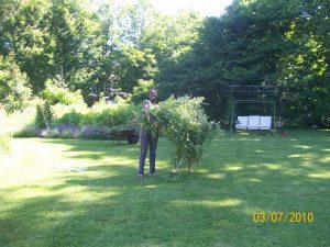 Susan Elliotson's Herb Garden Experience
