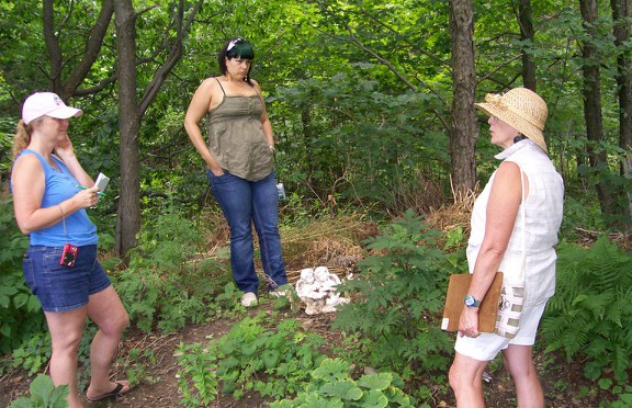 Susan Elliotson's Herb Walk