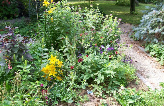 Healing Herb Garden